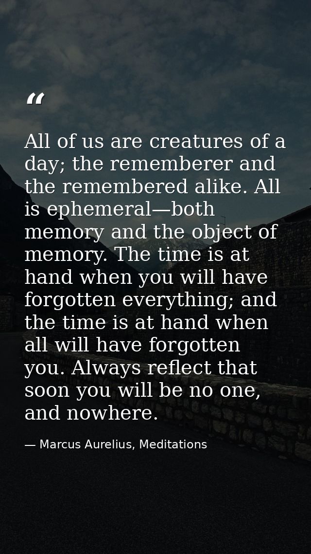 All of us are creatures of a day; the rememberer and the remembered alike. All is ephemeral—both memory and the object o — Marcus Aurelius, Meditations