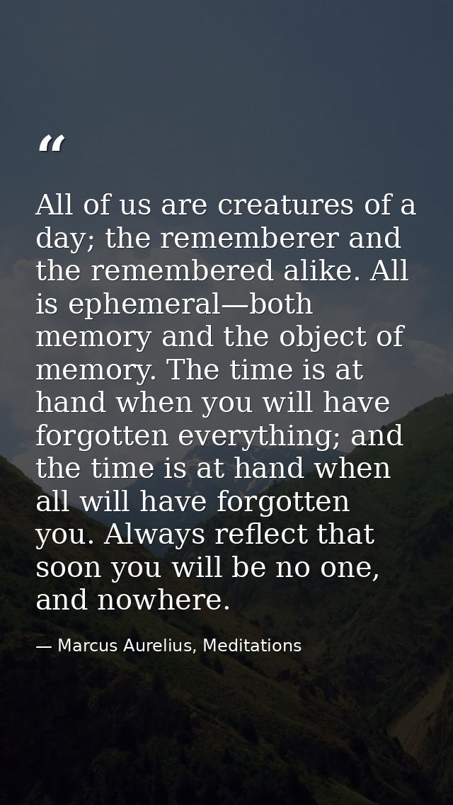 All of us are creatures of a day; the rememberer and the remembered alike. All is ephemeral—both memory and the object o — Marcus Aurelius, Meditations