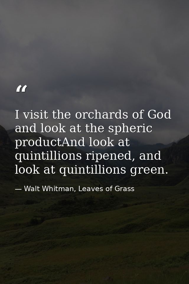 I visit the orchards of God and look at the spheric productAnd look at quintillions ripened, and look at quintillions gr — Walt Whitman, Leaves of Grass