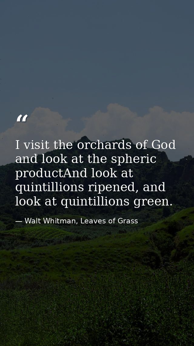 I visit the orchards of God and look at the spheric productAnd look at quintillions ripened, and look at quintillions gr — Walt Whitman, Leaves of Grass