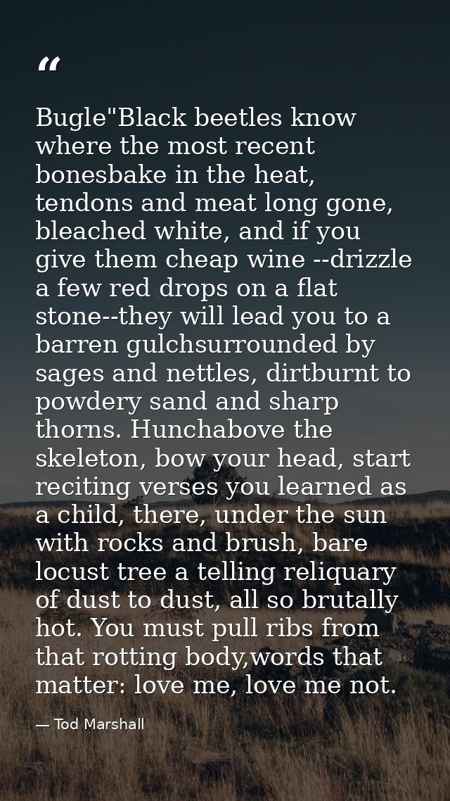 Bugle"Black beetles know where the most recent bonesbake in the heat, tendons and meat long gone, bleached white, and if — Tod Marshall