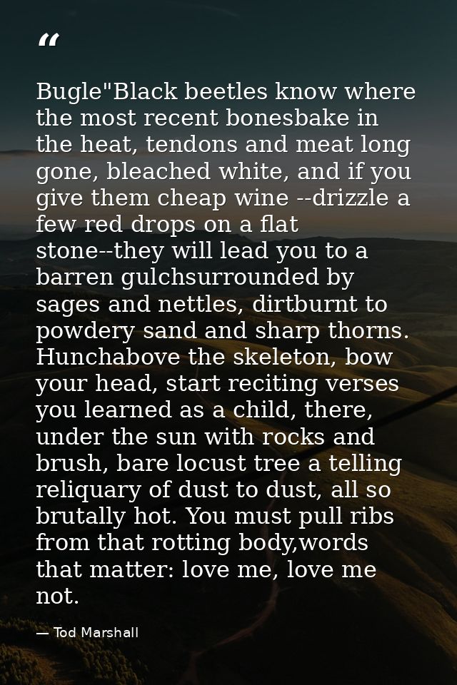 Bugle"Black beetles know where the most recent bonesbake in the heat, tendons and meat long gone, bleached white, and if — Tod Marshall