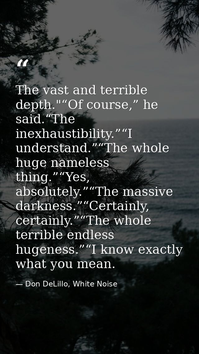 The vast and terrible depth."“Of course,” he said.“The inexhaustibility.”“I understand.”“The whole huge nameless thing.” — Don DeLillo, White Noise