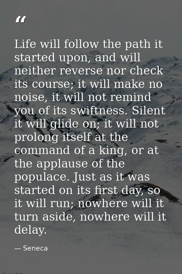 Life will follow the path it started upon, and will neither reverse nor check its course; it will make no noise, it will — Seneca