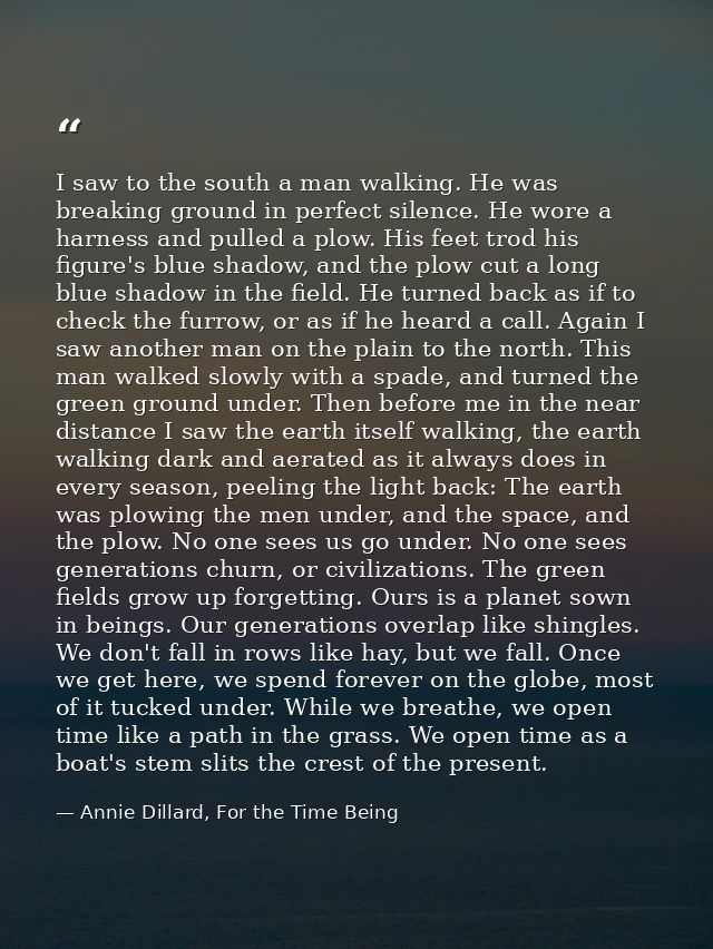 I saw to the south a man walking. He was breaking ground in perfect silence. He wore a harness and pulled a plow. His fe — Annie Dillard, For the Time Being