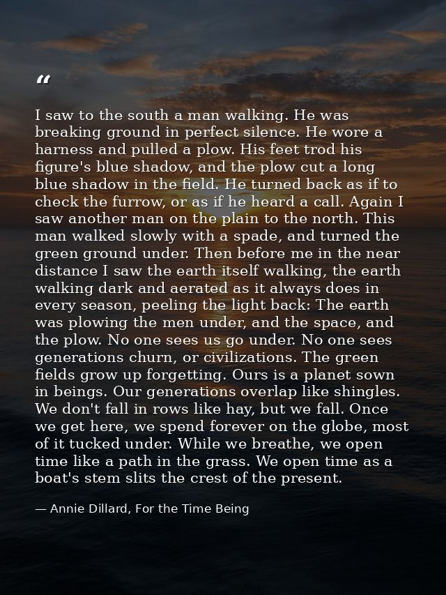 I saw to the south a man walking. He was breaking ground in perfect silence. He wore a harness and pulled a plow. His fe — Annie Dillard, For the Time Being