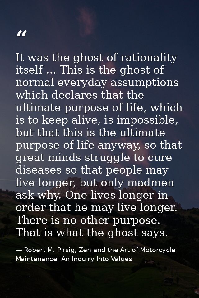 It was the ghost of rationality itself ... This is the ghost of normal everyday assumptions which declares that the ulti — Robert M. Pirsig, Zen and the Art of Motorcycle Maintenance: An Inquiry Into Values