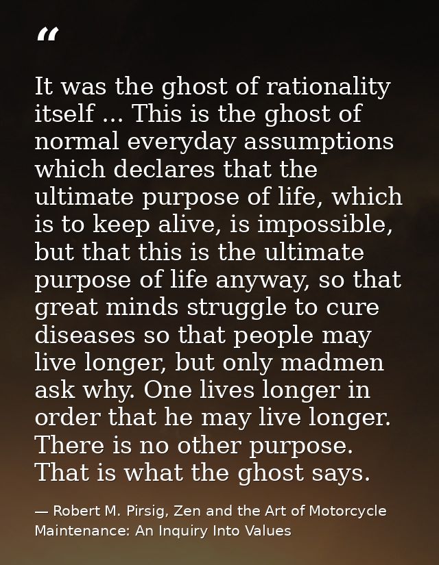 It was the ghost of rationality itself ... This is the ghost of normal everyday assumptions which declares that the ulti — Robert M. Pirsig, Zen and the Art of Motorcycle Maintenance: An Inquiry Into Values