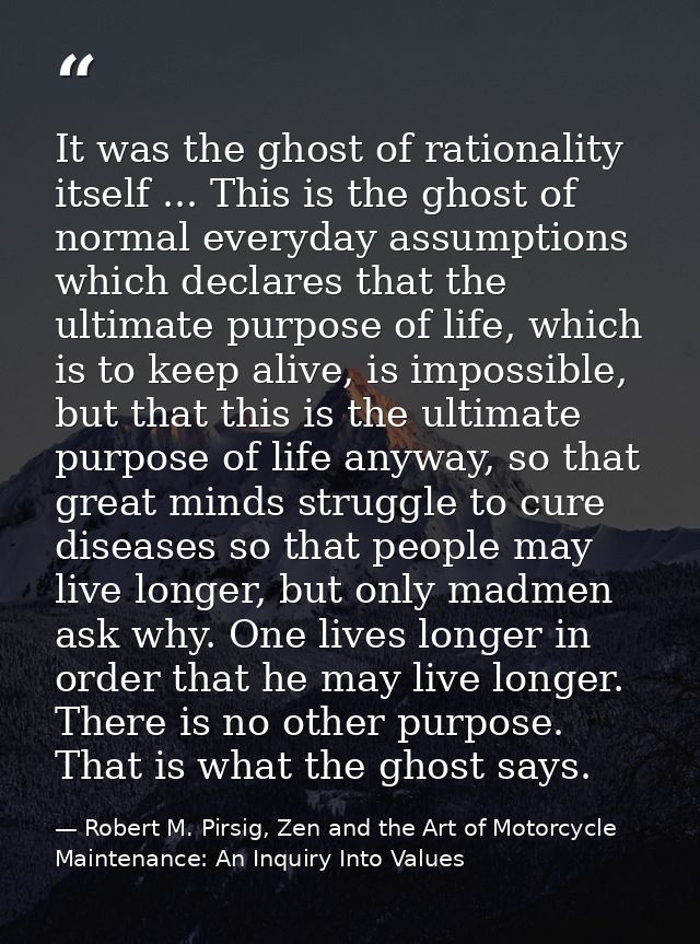 It was the ghost of rationality itself ... This is the ghost of normal everyday assumptions which declares that the ulti — Robert M. Pirsig, Zen and the Art of Motorcycle Maintenance: An Inquiry Into Values