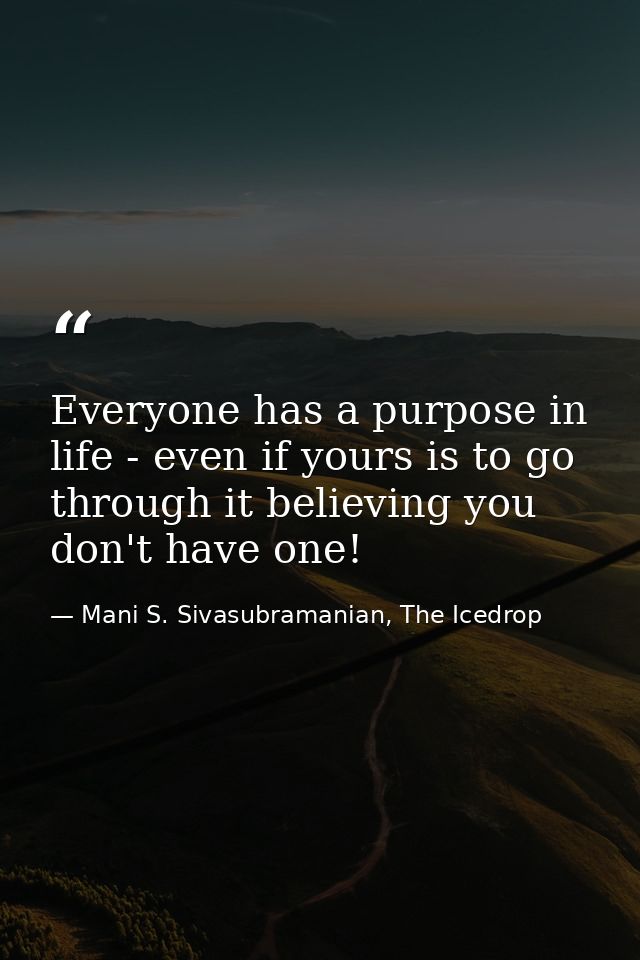 Everyone has a purpose in life - even if yours is to go through it believing you don't have one! — Mani S. Sivasubramanian, The Icedrop