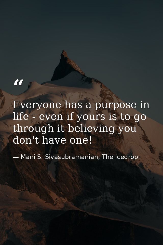 Everyone has a purpose in life - even if yours is to go through it believing you don't have one! — Mani S. Sivasubramanian, The Icedrop