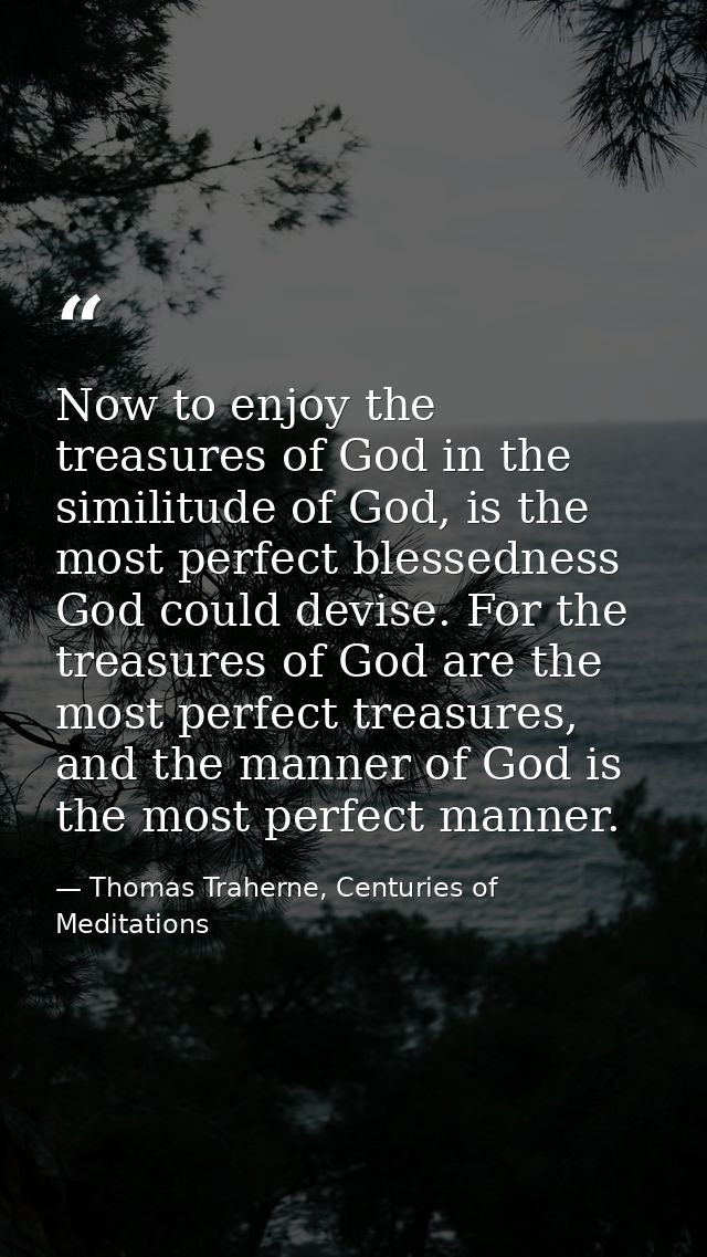 Now to enjoy the treasures of God in the similitude of God, is the most perfect blessedness God could devise. For the tr — Thomas Traherne, Centuries of Meditations