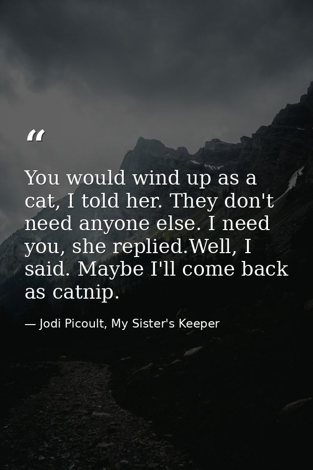 You would wind up as a cat, I told her. They don't need anyone else. I need you, she replied.Well, I said. Maybe I'll co — Jodi Picoult, My Sister's Keeper