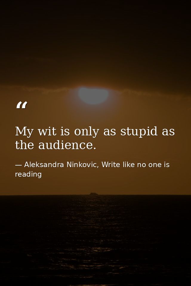 My wit is only as stupid as the audience. — Aleksandra Ninkovic, Write like no one is reading