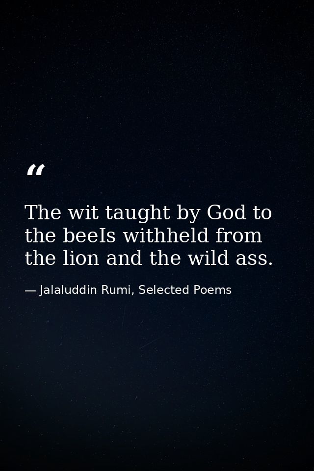 The wit taught by God to the beeIs withheld from the lion and the wild ass. — Jalaluddin Rumi, Selected Poems