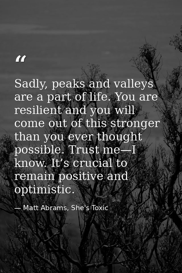 Sadly, peaks and valleys are a part of life. You are resilient and you will come out of this stronger than you ever thou — Matt Abrams, She's Toxic