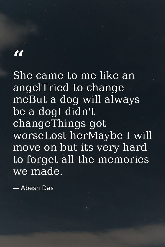 She came to me like an angelTried to change meBut a dog will always be a dogI didn't changeThings got worseLost herMaybe — Abesh Das
