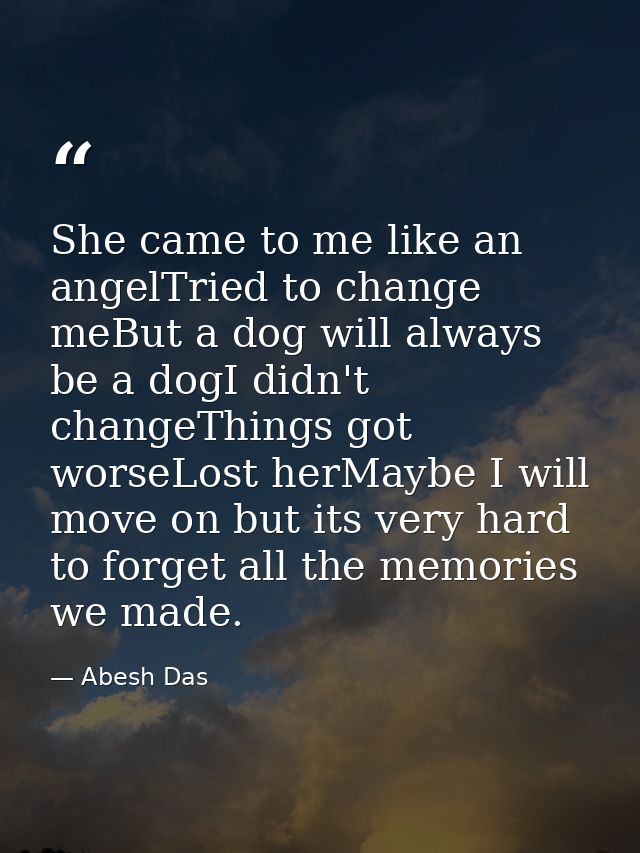 She came to me like an angelTried to change meBut a dog will always be a dogI didn't changeThings got worseLost herMaybe — Abesh Das