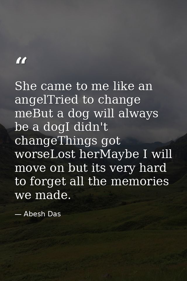 She came to me like an angelTried to change meBut a dog will always be a dogI didn't changeThings got worseLost herMaybe — Abesh Das