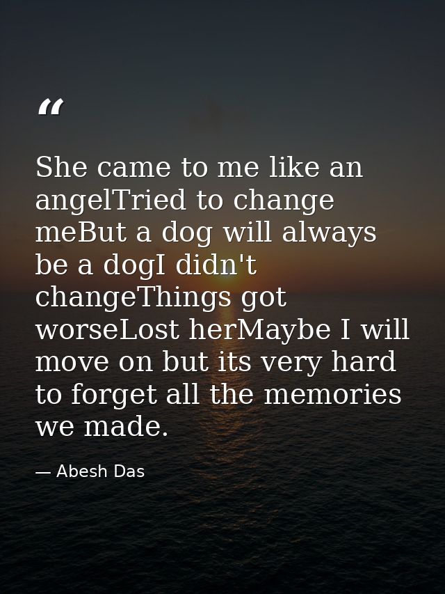 She came to me like an angelTried to change meBut a dog will always be a dogI didn't changeThings got worseLost herMaybe — Abesh Das