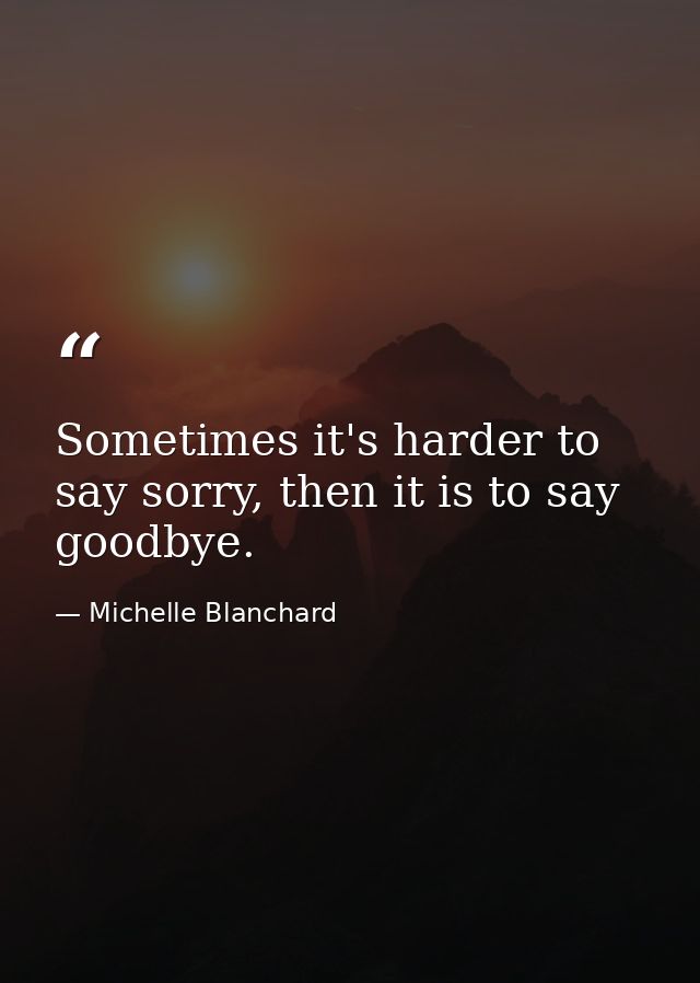 Sometimes it's harder to say sorry, then it is to say goodbye. — Michelle Blanchard