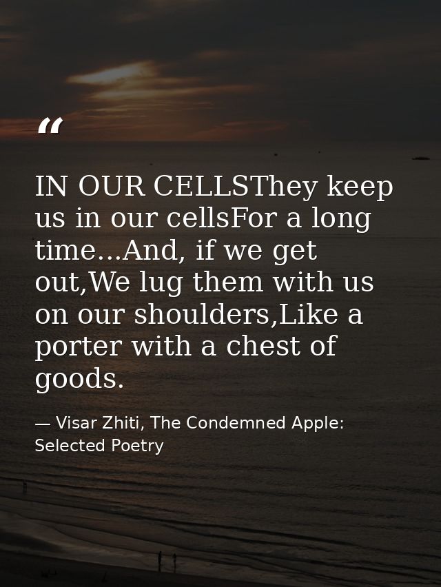 IN OUR CELLSThey keep us in our cellsFor a long time...And, if we get out,We lug them with us on our shoulders,Like a po — Visar Zhiti, The Condemned Apple: Selected Poetry