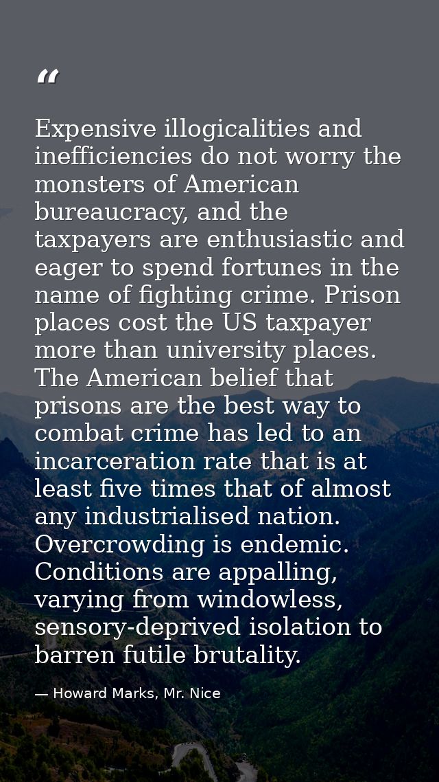 Expensive illogicalities and inefficiencies do not worry the monsters of American bureaucracy, and the taxpayers are ent — Howard Marks, Mr. Nice