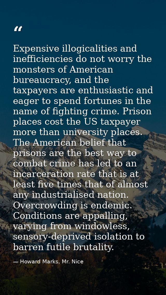 Expensive illogicalities and inefficiencies do not worry the monsters of American bureaucracy, and the taxpayers are ent — Howard Marks, Mr. Nice