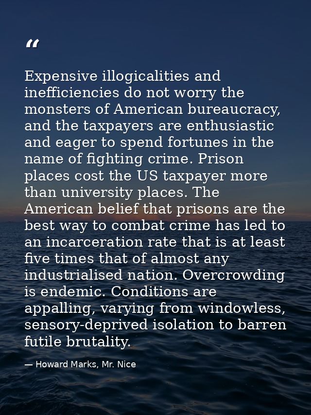 Expensive illogicalities and inefficiencies do not worry the monsters of American bureaucracy, and the taxpayers are ent — Howard Marks, Mr. Nice