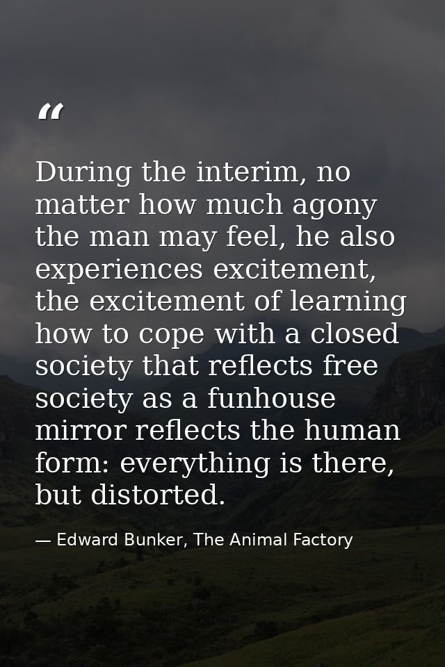 During the interim, no matter how much agony the man may feel, he also experiences excitement, the excitement of learnin — Edward Bunker, The Animal Factory