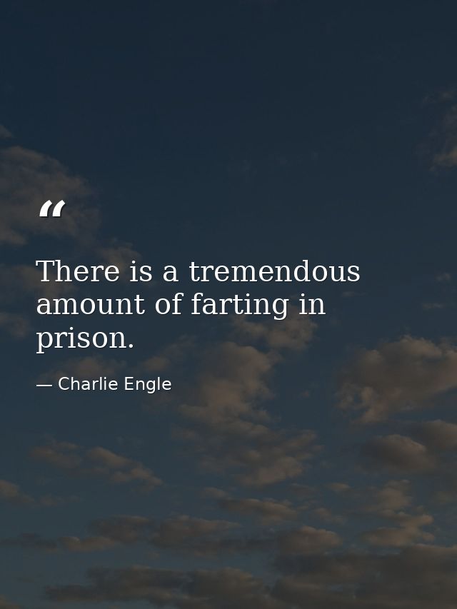 There is a tremendous amount of farting in prison. — Charlie Engle