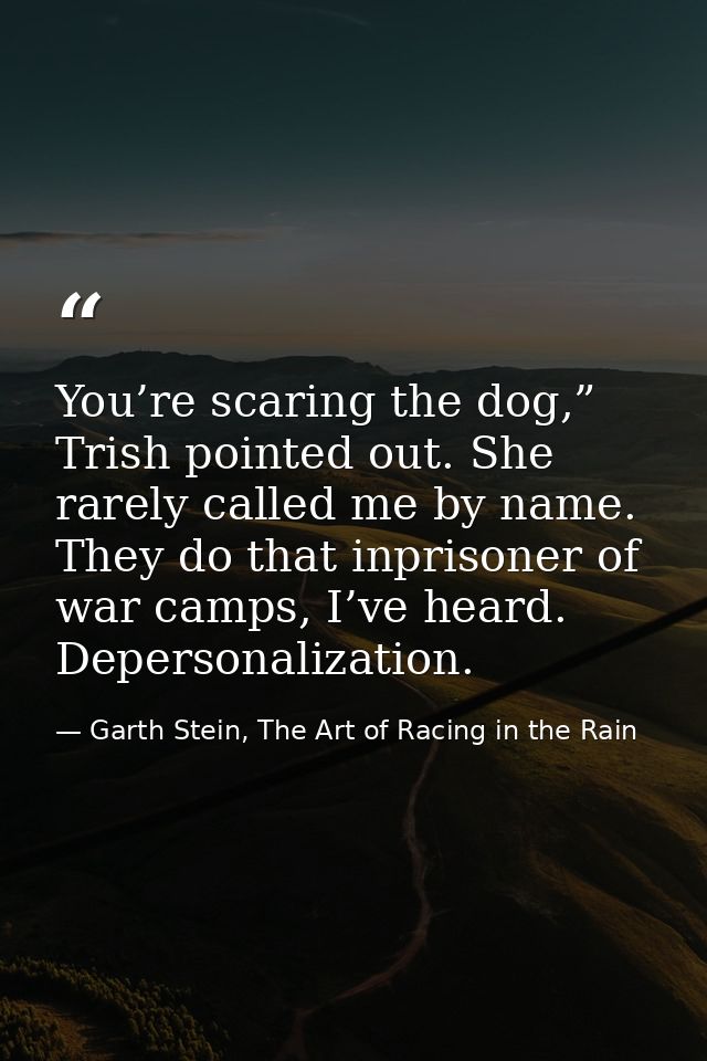You’re scaring the dog,” Trish pointed out. She rarely called me by name. They do that inprisoner of war camps, I’ve hea — Garth Stein, The Art of Racing in the Rain