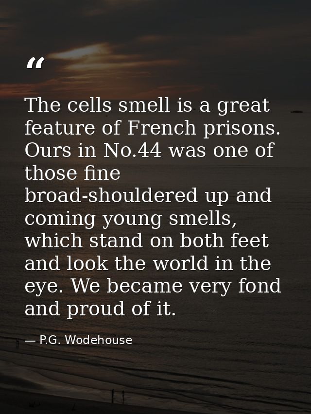 The cells smell is a great feature of French prisons. Ours in No.44 was one of those fine broad-shouldered up and coming — P.G. Wodehouse