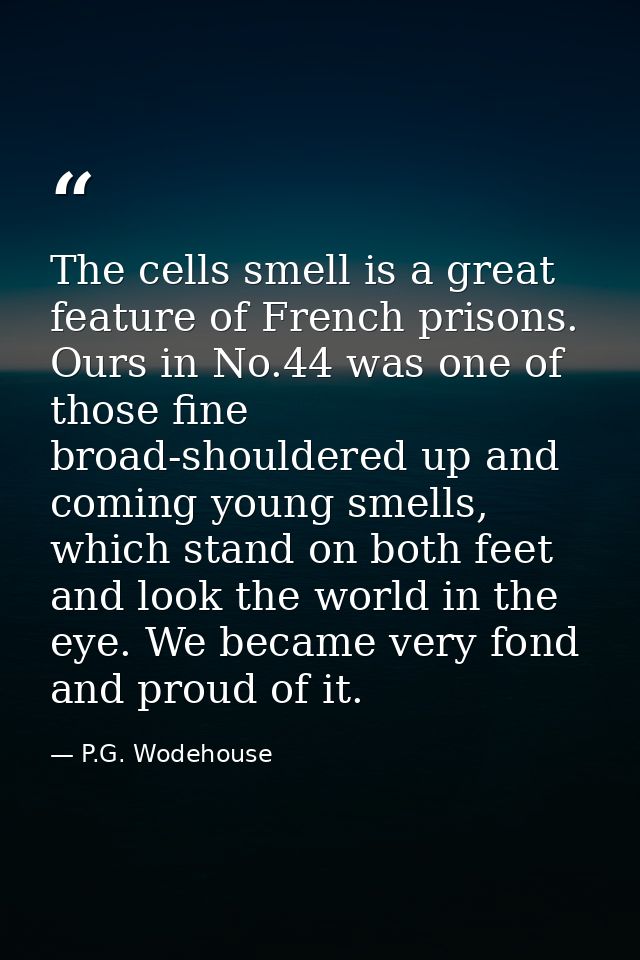 The cells smell is a great feature of French prisons. Ours in No.44 was one of those fine broad-shouldered up and coming — P.G. Wodehouse