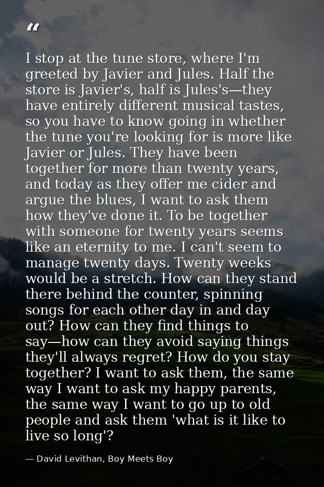 I stop at the tune store, where I'm greeted by Javier and Jules. Half the store is Javier's, half is Jules's—they have e — David Levithan, Boy Meets Boy