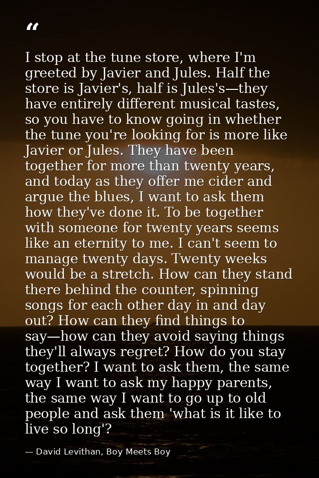 I stop at the tune store, where I'm greeted by Javier and Jules. Half the store is Javier's, half is Jules's—they have e — David Levithan, Boy Meets Boy