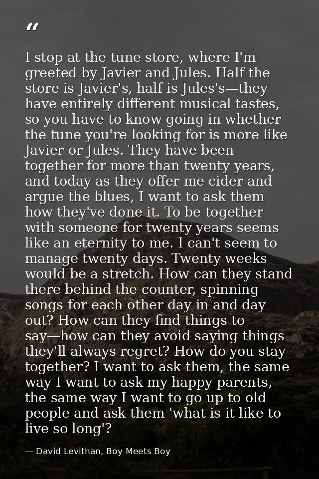 I stop at the tune store, where I'm greeted by Javier and Jules. Half the store is Javier's, half is Jules's—they have e — David Levithan, Boy Meets Boy