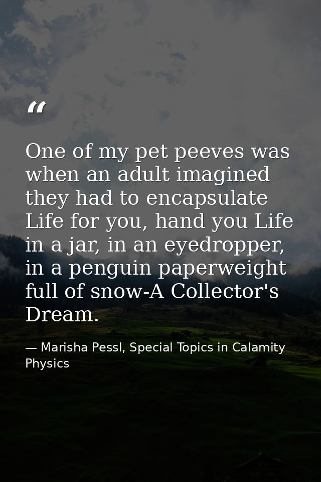 One of my pet peeves was when an adult imagined they had to encapsulate Life for you, hand you Life in a jar, in an eyed — Marisha Pessl, Special Topics in Calamity Physics