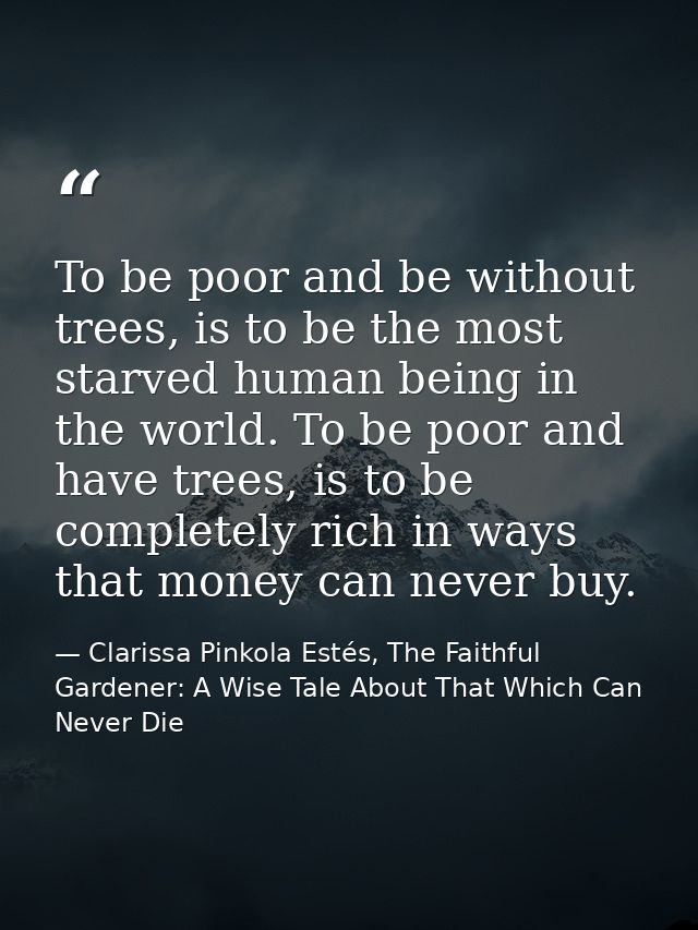 To be poor and be without trees, is to be the most starved human being in the world. To be poor and have trees, is to be — Clarissa Pinkola Estés, The Faithful Gardener: A Wise Tale About That Which Can Never Die