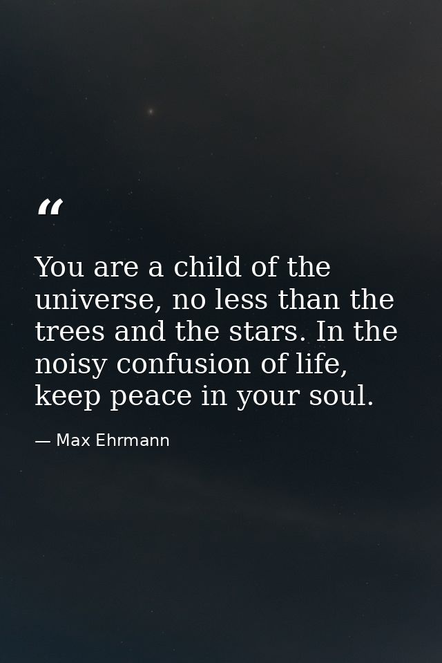 You are a child of the universe, no less than the trees and the stars. In the noisy confusion of life, keep peace in you — Max Ehrmann