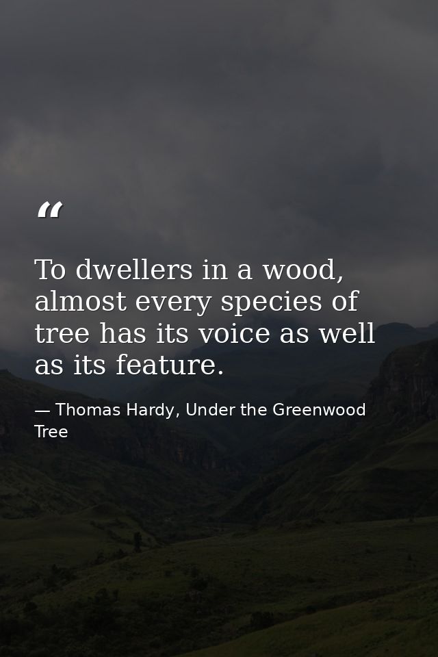 To dwellers in a wood, almost every species of tree has its voice as well as its feature. — Thomas Hardy, Under the Greenwood Tree