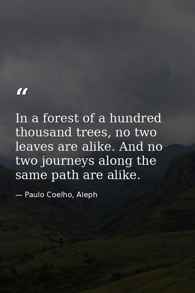 In a forest of a hundred thousand trees, no two leaves are alike. And no two journeys along the same path are alike. — Paulo Coelho, Aleph