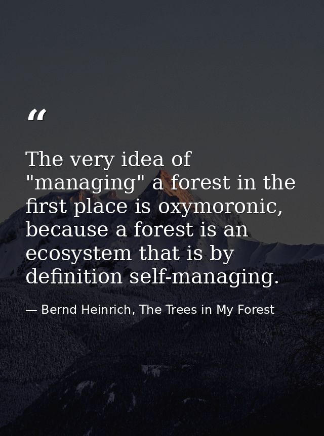 The very idea of "managing" a forest in the first place is oxymoronic, because a forest is an ecosystem that is by defin — Bernd Heinrich, The Trees in My Forest