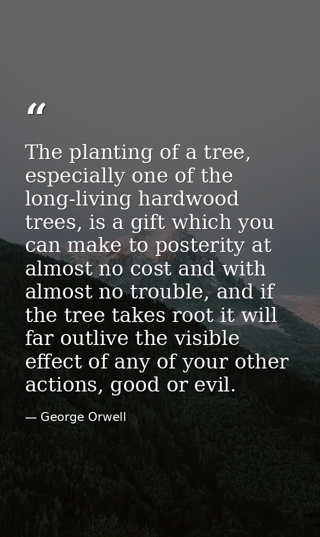 The planting of a tree, especially one of the long-living hardwood trees, is a gift which you can make to posterity at a — George Orwell