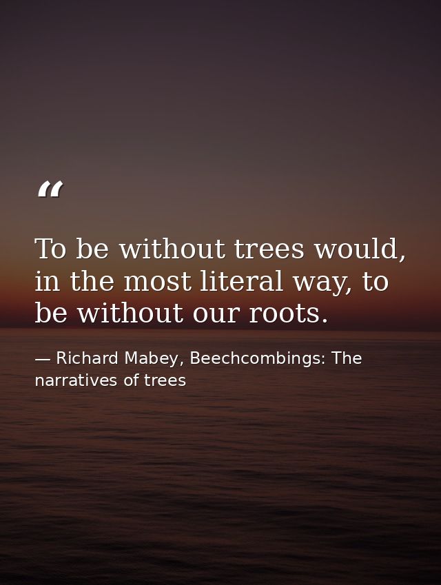 To be without trees would, in the most literal way, to be without our roots. — Richard Mabey, Beechcombings: The narratives of trees