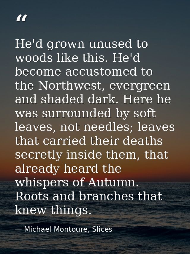 He'd grown unused to woods like this. He'd become accustomed to the Northwest, evergreen and shaded dark. Here he was su — Michael Montoure, Slices