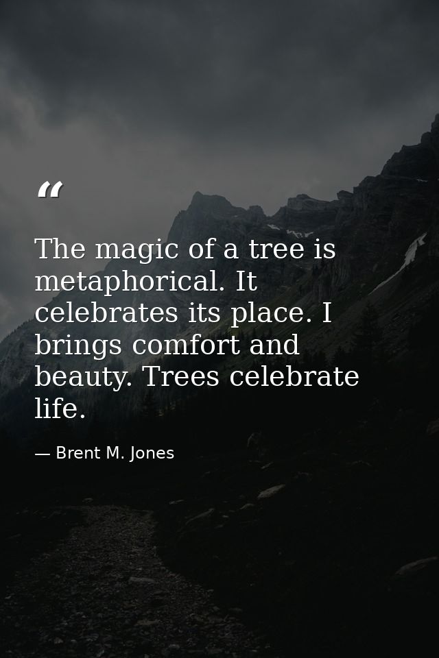 The magic of a tree is metaphorical. It celebrates its place. I brings comfort and beauty. Trees celebrate life. — Brent M. Jones