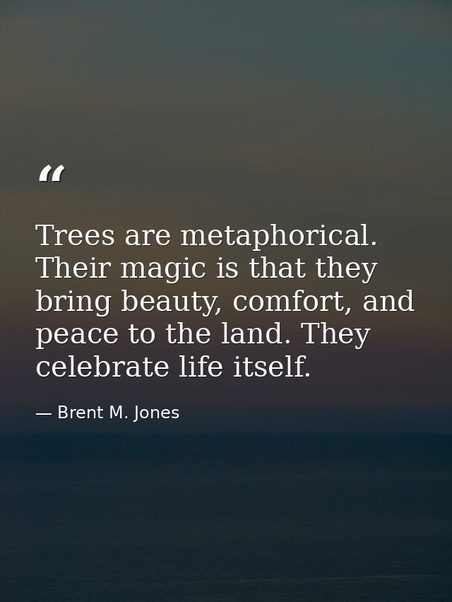 Trees are metaphorical. Their magic is that they bring beauty, comfort, and peace to the land. They celebrate life itsel — Brent M. Jones