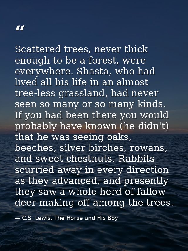 Scattered trees, never thick enough to be a forest, were everywhere. Shasta, who had lived all his life in an almost tre — C.S. Lewis, The Horse and His Boy