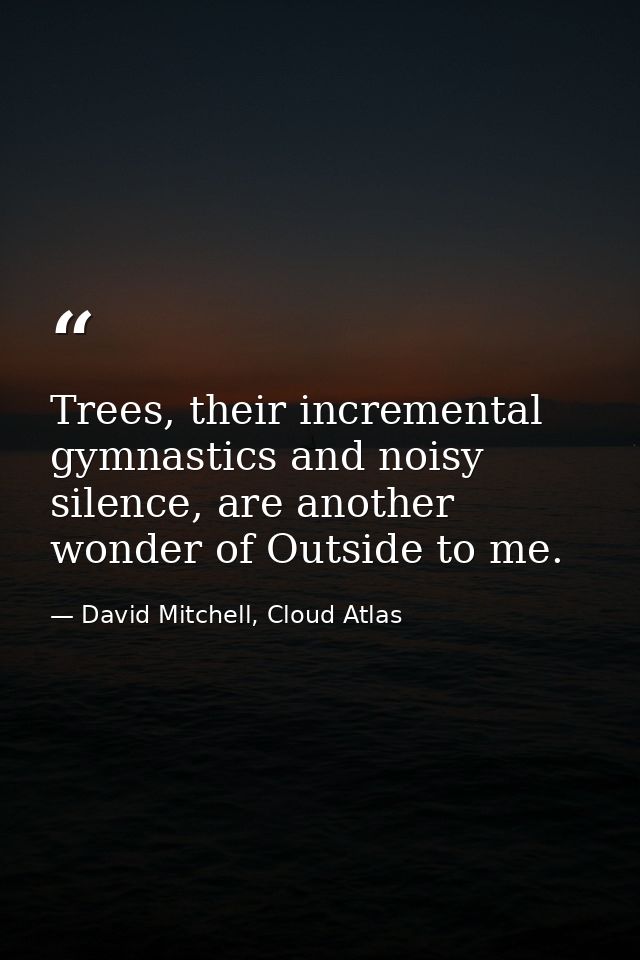 Trees, their incremental gymnastics and noisy silence, are another wonder of Outside to me. — David Mitchell, Cloud Atlas